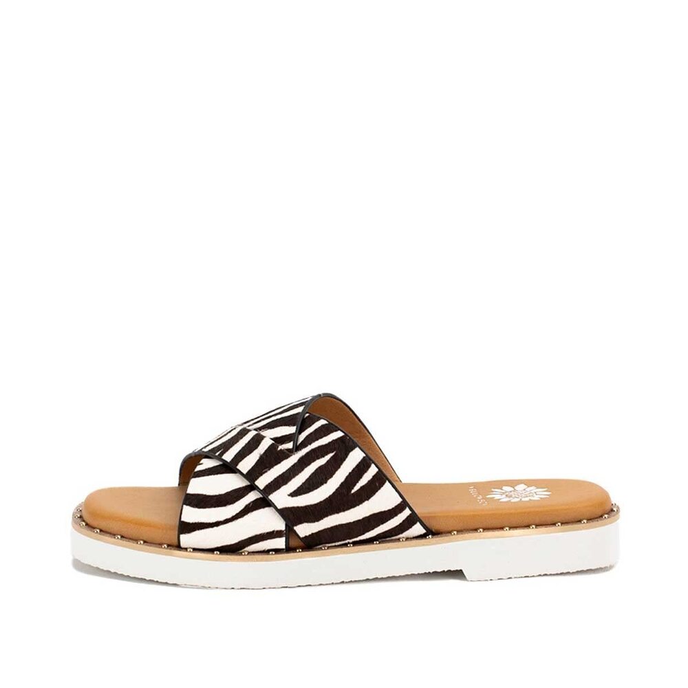 Yellow Box Hemes Zebra 8 M